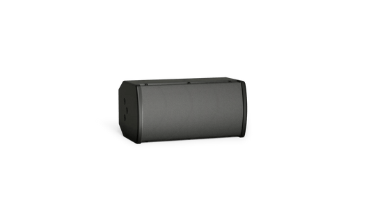 Bose Professional ArenaMatch Utility AMU105 outdoor loudspeaker, black