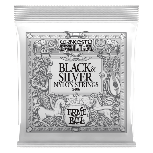 Ernie Ball 2406 Palla Classic