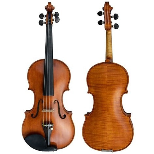 Palmer PPV134 Praga Violin 34